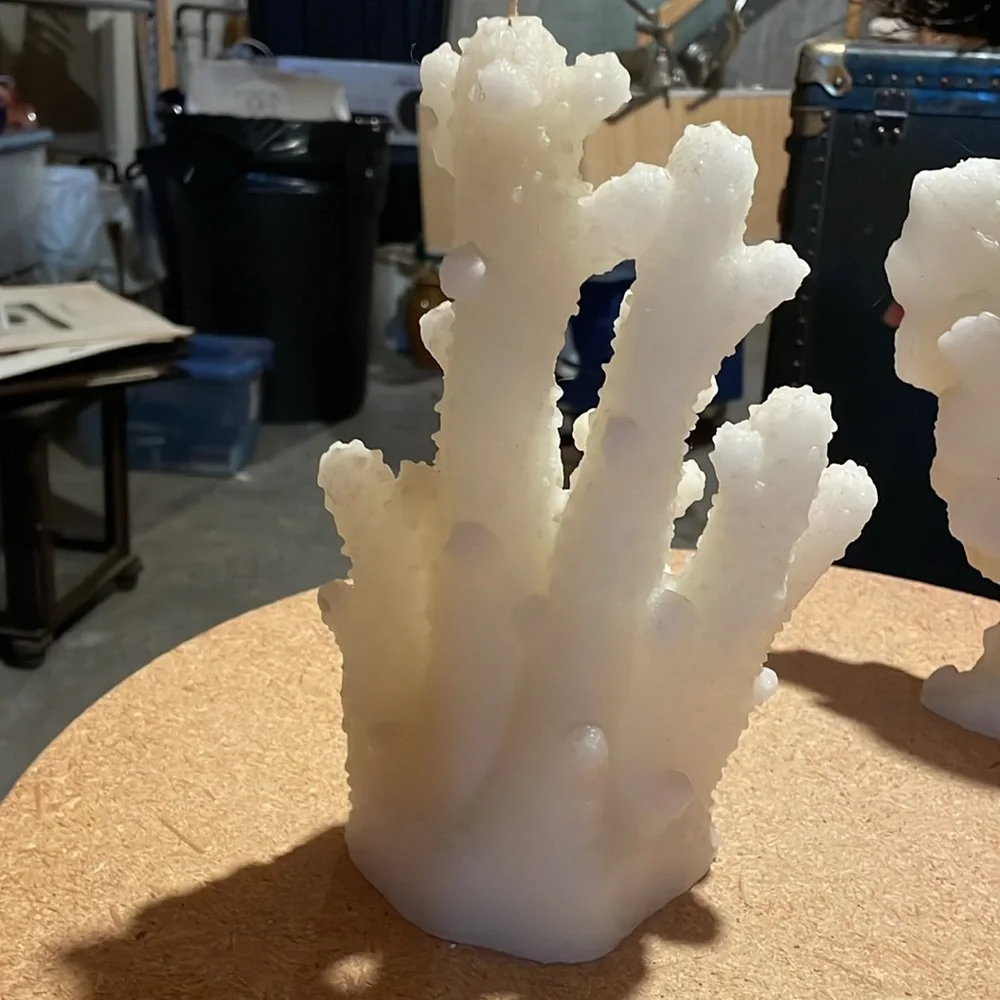 Pottery barn coral candle
